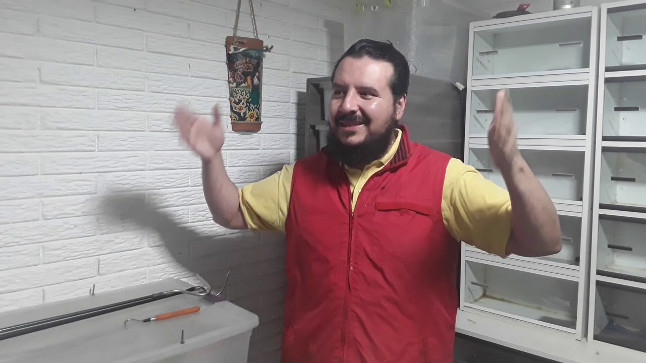Las culebras son mordelonas? (Rey y Maiceras) Comportamiento de las culebras