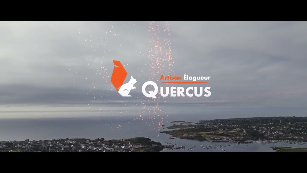 Quercus - Artisan Elagueur dans le Finist&egrave;re
