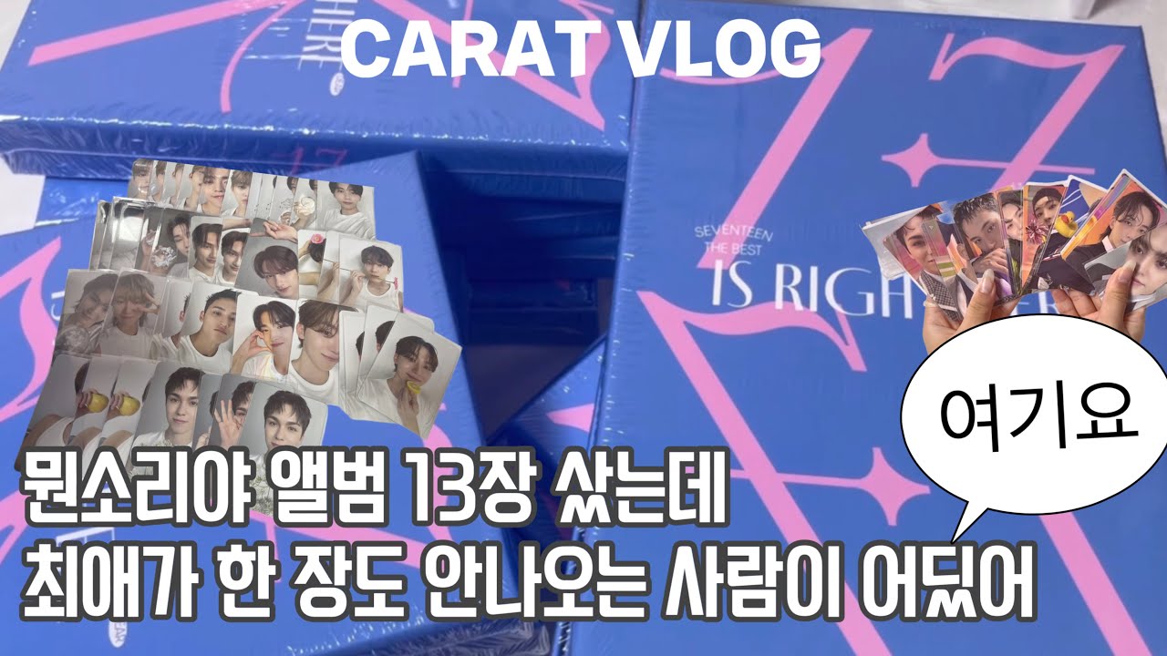 [캐럿로그] 세븐틴 앨범 분철 총대의 삶 | 앨범깡 • 디어버전 • 앨범 13장 샀는데 최애가 한 장도 안 나온 사람? 저요