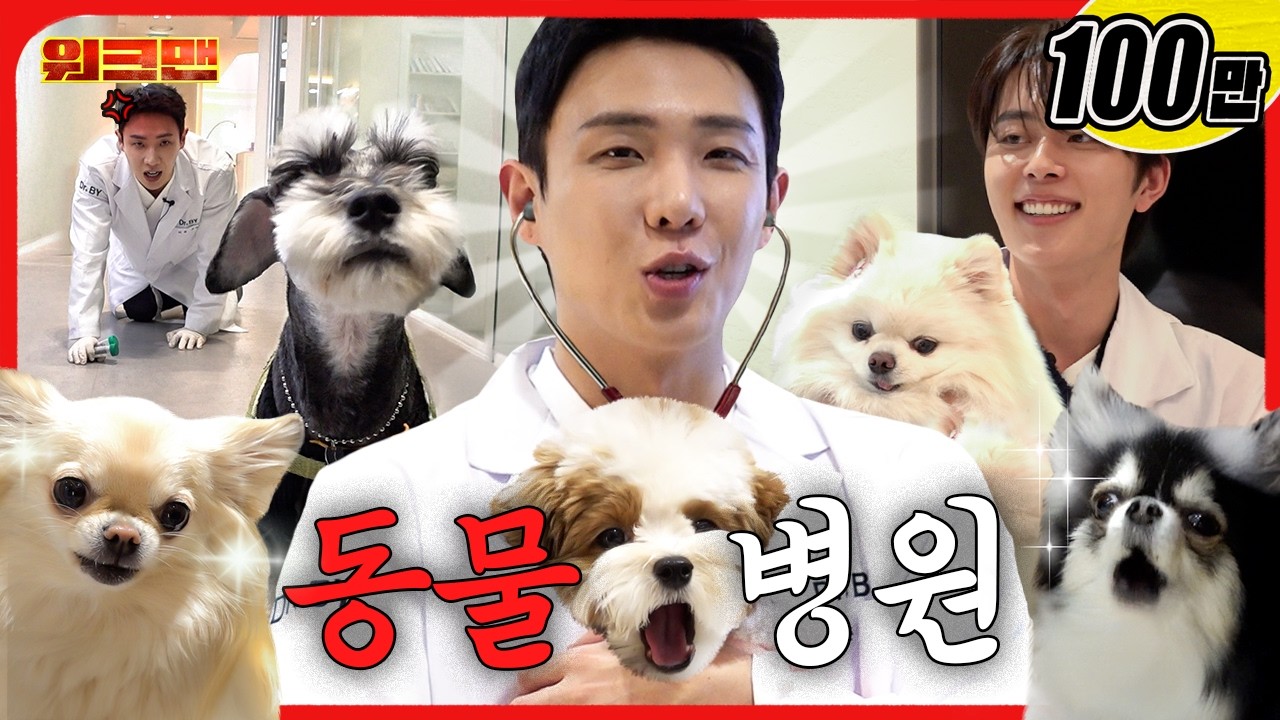 나 안아...!!⚠️가나디 🐶귀여움 주의⚠️| 동물병원 보조 | 닥터바이 | 워크맨 | 이준, 유선호