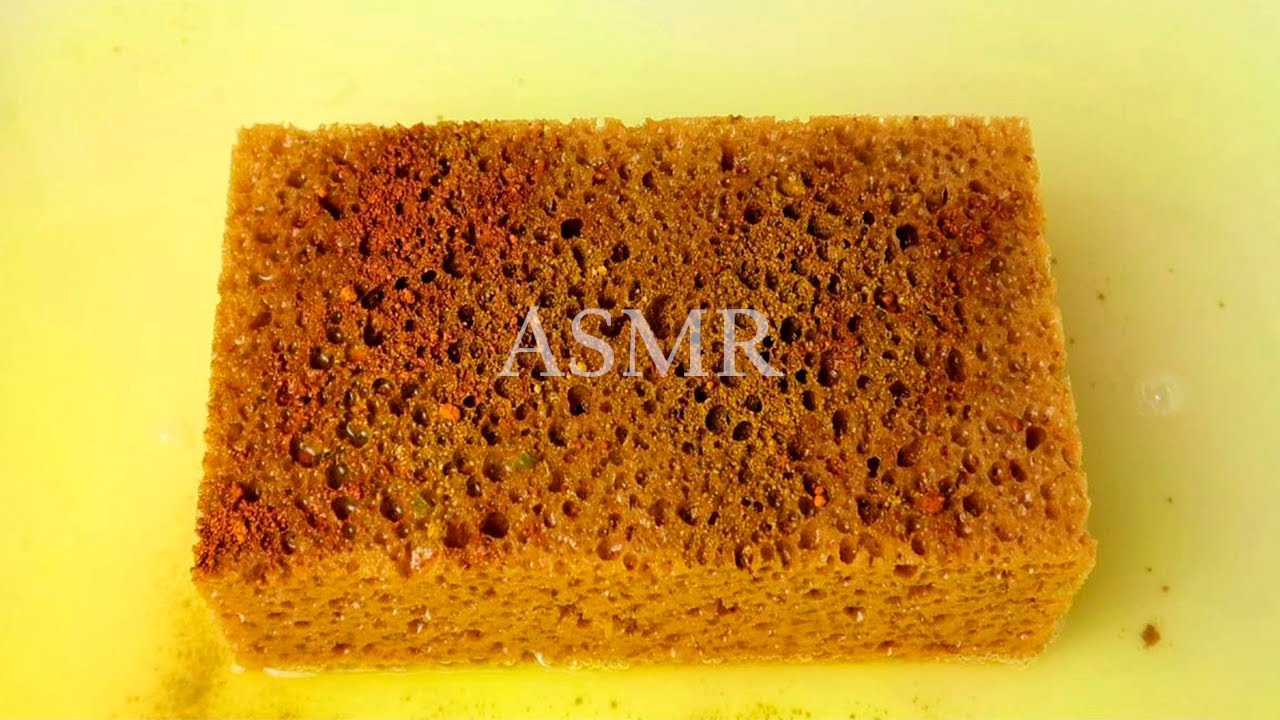 ASMR Sponge Squeezing 🧽 New Sponge 🧽 Mr. Clean Combo