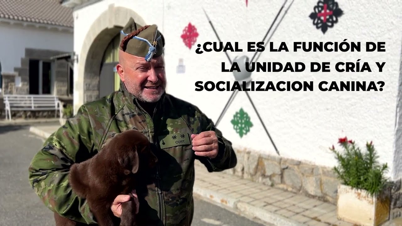 De cachorros a héroes.