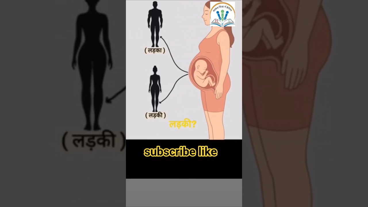 मनुष्य में लिंग का निर्धारण-लड़का या लड़की,sex determination in human 🤰Girl to boy,,#viral,,#shorts