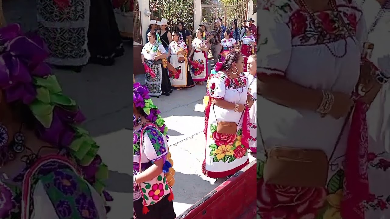 Zipimeo Michoac&aacute;n 2025