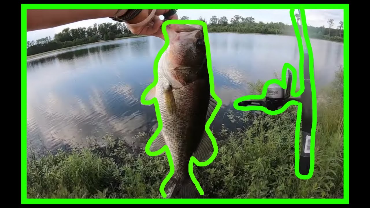 Zebco 33T- micro triggercast fishing $30 walmart challenge