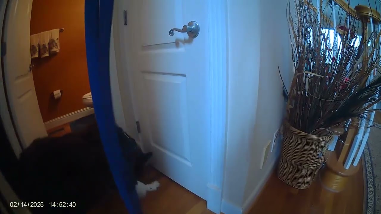 Detective Q #7   2026 12 14