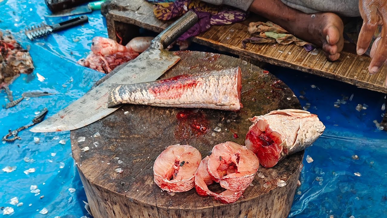 🔴 Live 🔴 Ami Babu Fishing