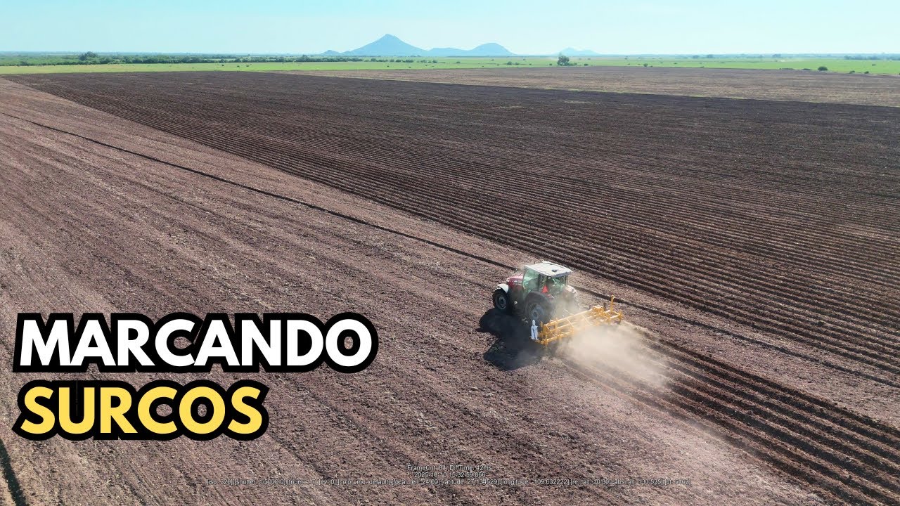 🚜 Marcando Surcos con Prisa: Preparándonos Antes de la Tormenta Raymond