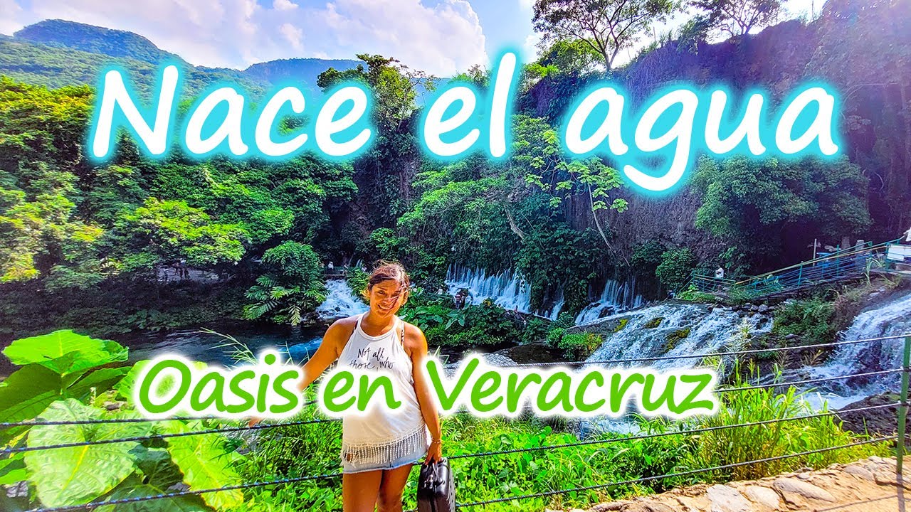 Nace el agua (El descabezadero). Un oasis escondido en Actopan, Veracruz. ¿Qué hacer? ¿Cómo llegar?