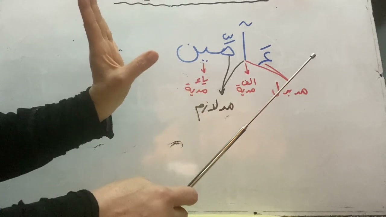 جاوبوا علي زميلتكم ايه انواع المدود هنا 💐