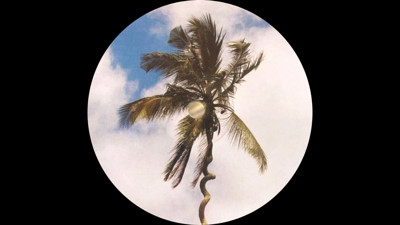 Harrison BDP - Be Like Water [PALMS016]