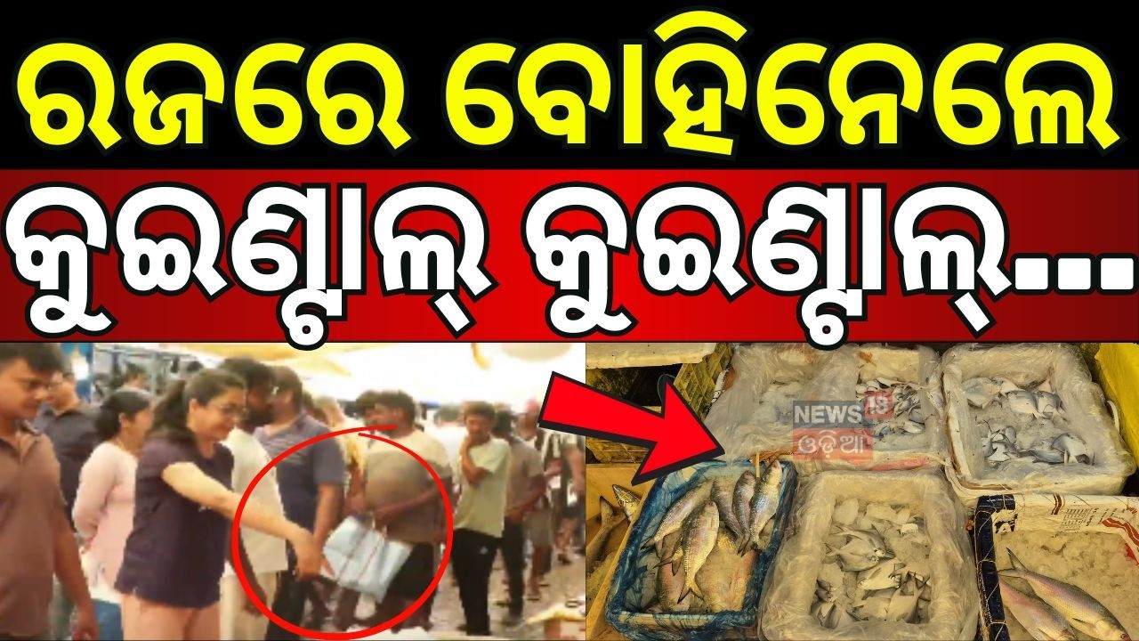 ରଜରେ କୁଇଣ୍ଟାଲ୍&zwnj; କୁଇଣ୍ଟାଲ୍&zwnj;...Raja Festival |  Bhubaneswar NonVegMarket | Raja 2026 | Odia News