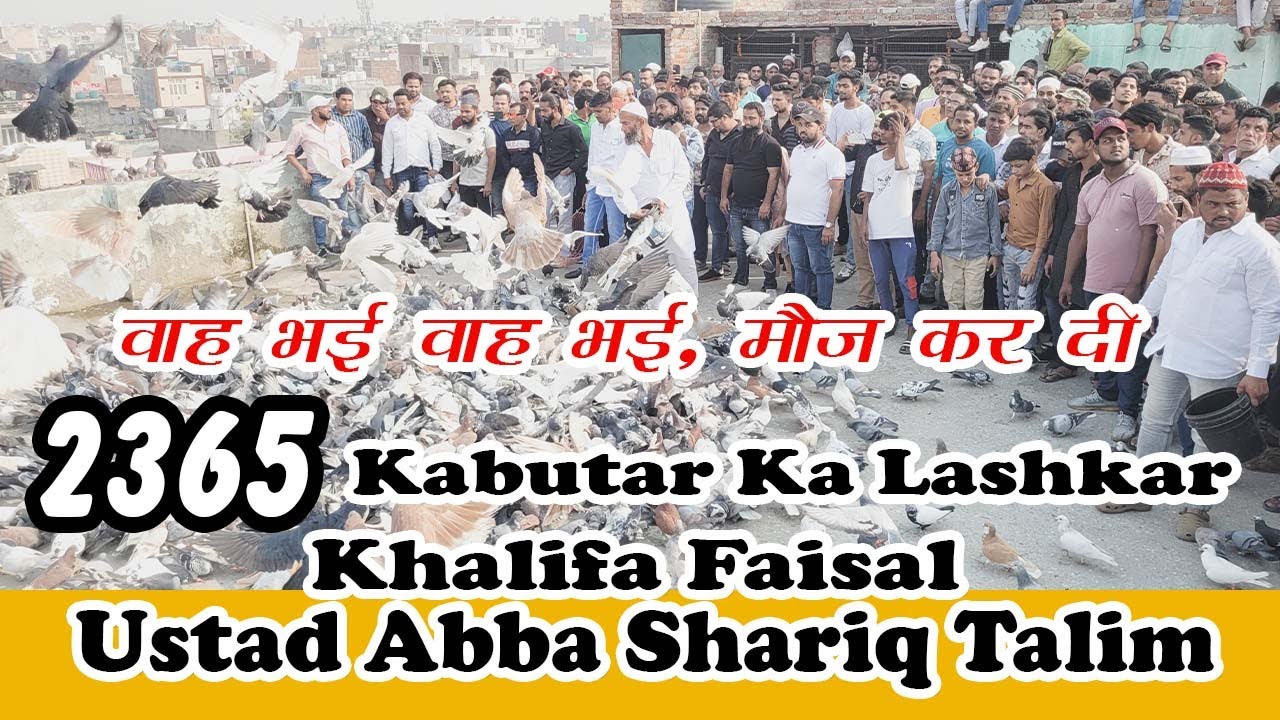 Lashkar E Kabutar - 2365 Kabutar Ka shok, Faisal Khalifa, Ustad Abba Shariq