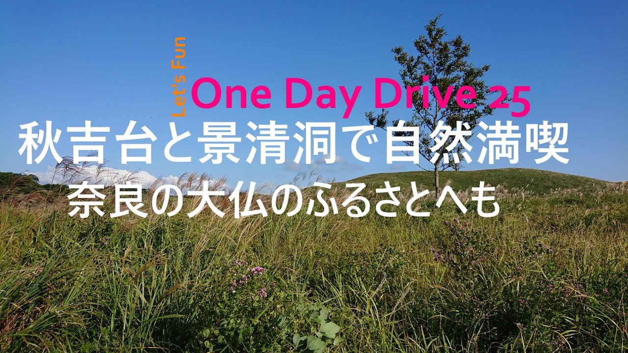ONEDAYDRIVE２５　秋吉台、景清洞、大仏のふる里を行く