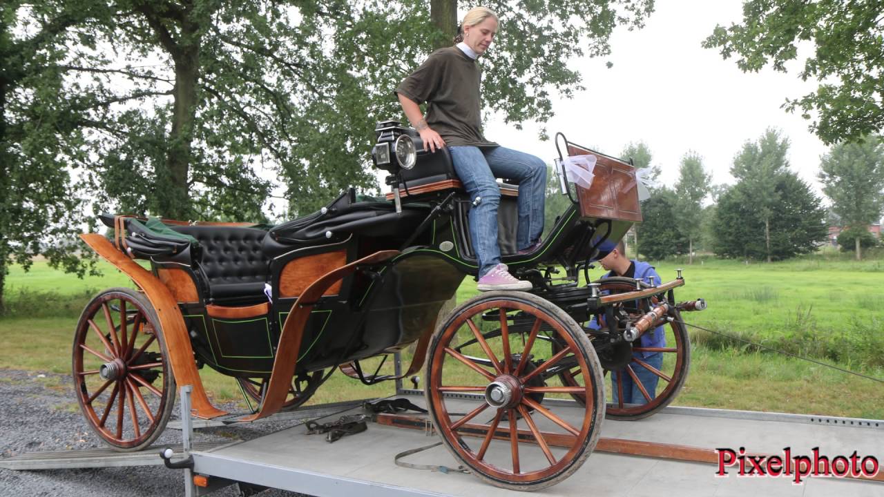 ma vie au Domaine avec les chevaux