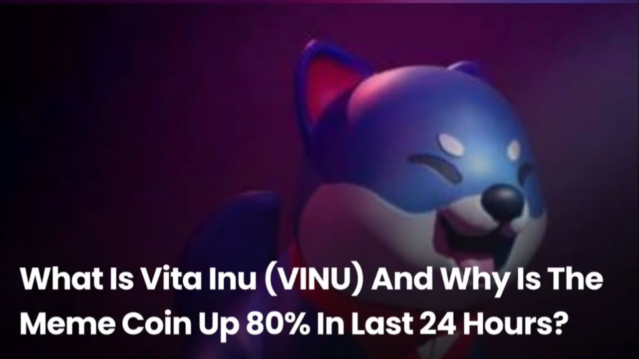 What Is Vita Inu (VINU) And Why Is The Meme Coin Up 80% In Last 24 Hours?