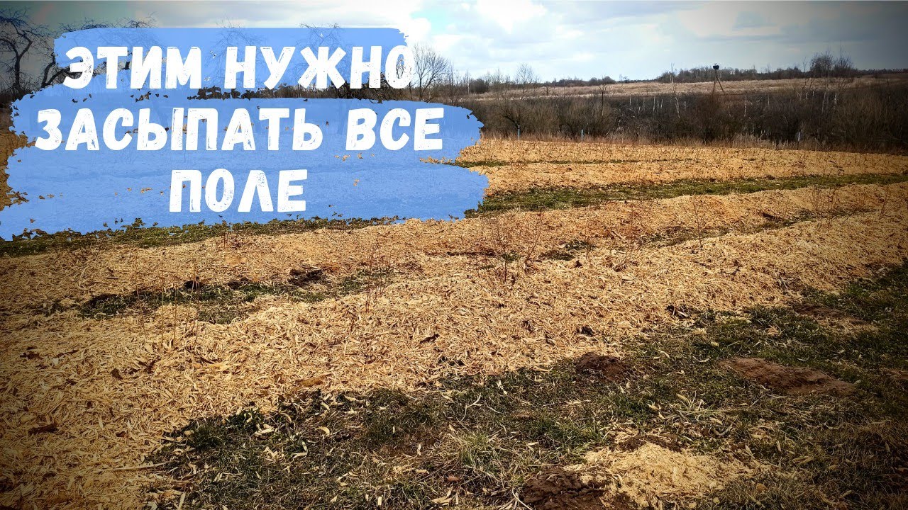 Мульча - залог отличного урожая