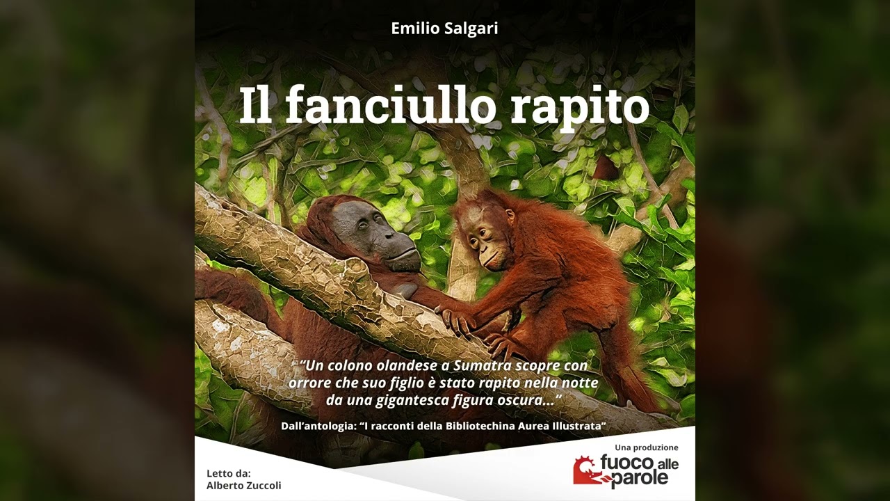 Il fanciullo rapito - Emilio Salgari - Audiolibro - Audioracconto - Avventura