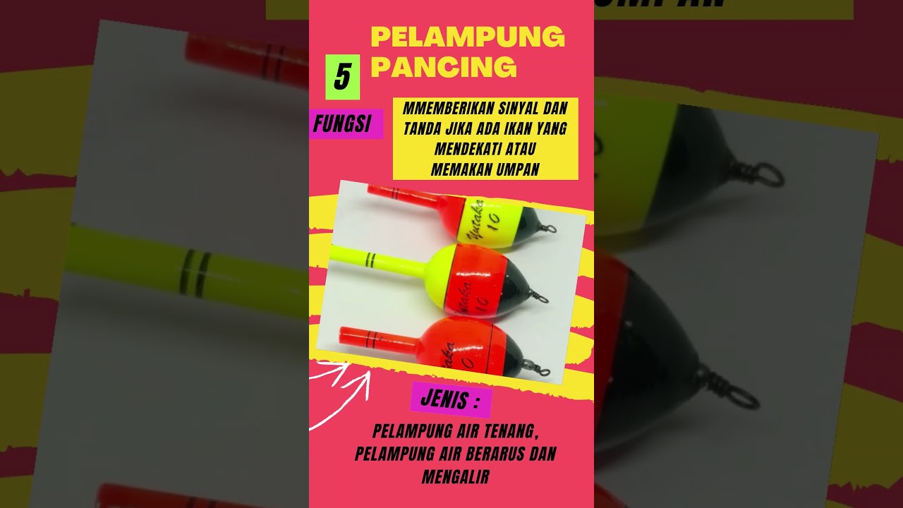 9 PERALATAN #PANCING - FUNGSI DAN JENISNYA #mancingmania