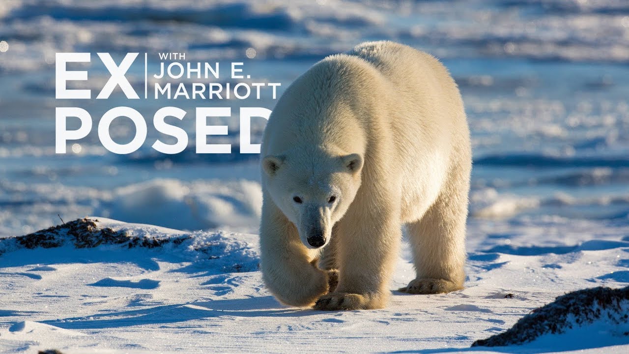 Expedition to the Arctic! | EXPOSED Wildlife Photography | EP 10