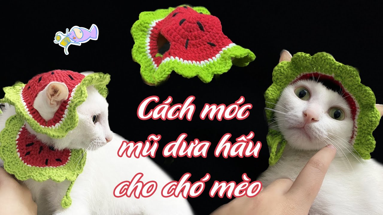 Hướng dẫn móc mũ dưa hấu cho chó mèo | Crochet Watermelon Hat for Cat and Dog