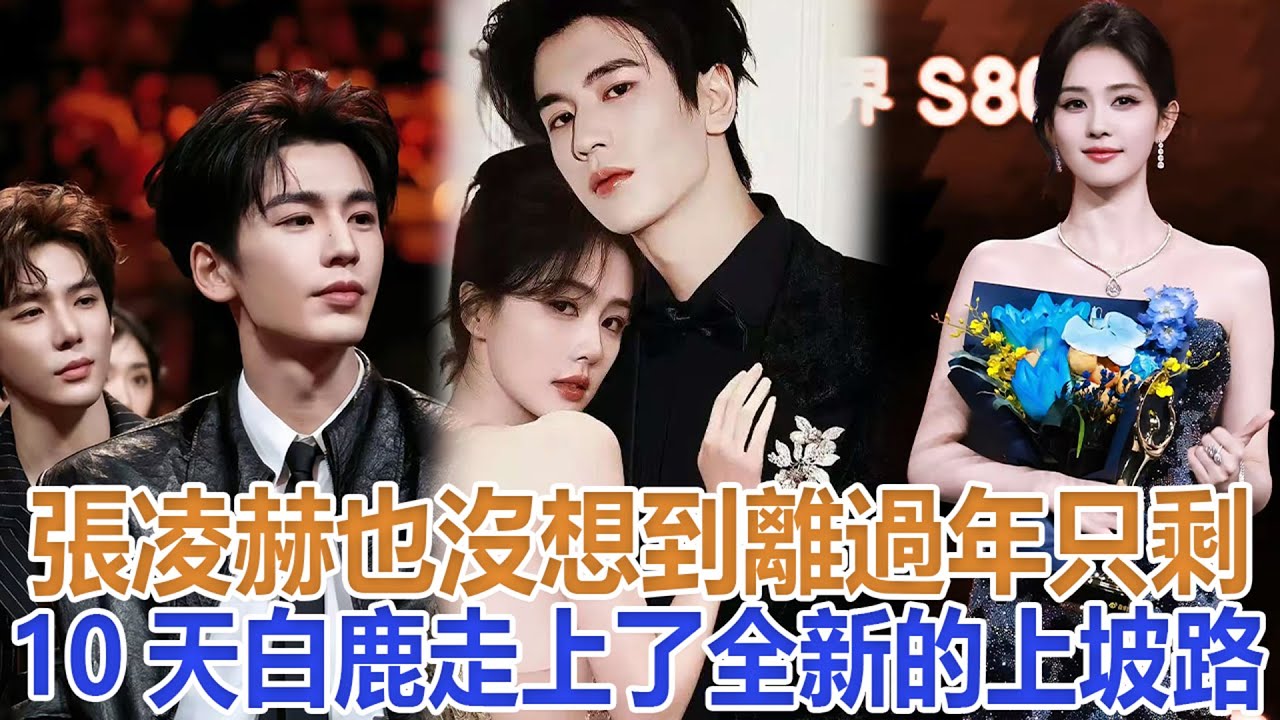 張凌赫也沒想到，離過年只剩10天，白鹿走上了全新的&ldquo;上坡路&rdquo;#張凌赫#白鹿