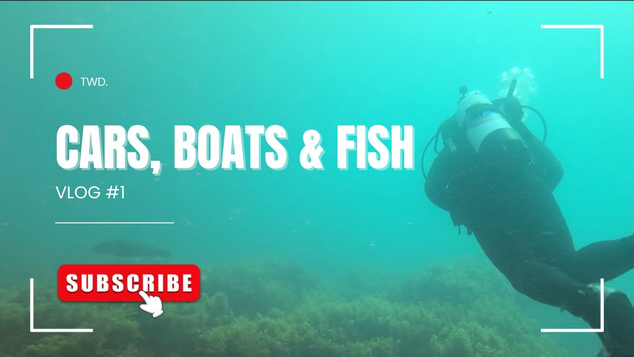 Odd Jobs and Strange Fish | VLOG 1