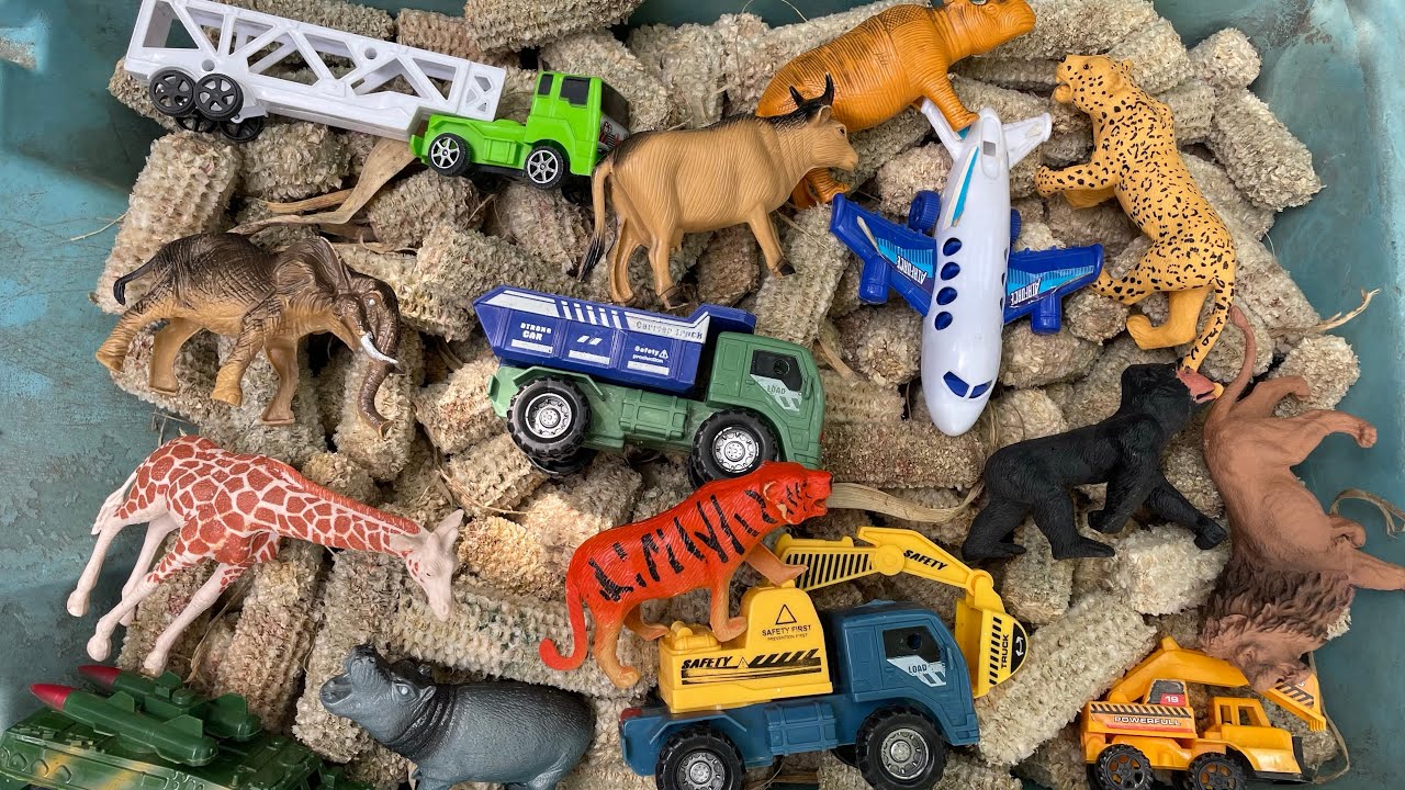 ZEBRA,GAJAH,HARIMAU,KUDANIL,BADAK ,HARIMAU,TRUK EXPEDISI