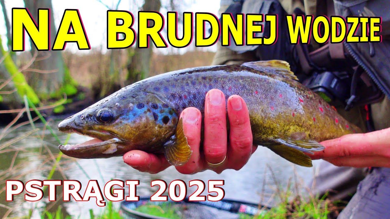 Połowiłem Na Brudnej Wodzie !!! Trafiłem w Czas i Przynętę | PSTRĄGI 2025 wędkarstwo spinning