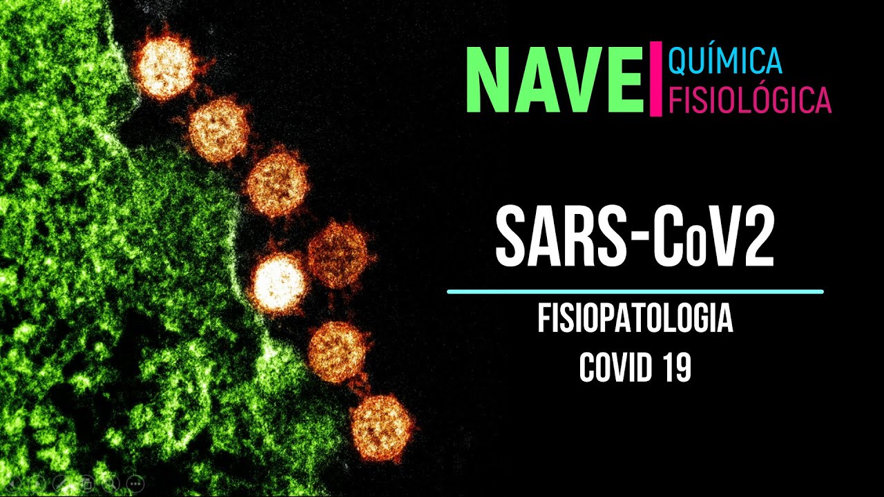 Fisiopatologia COVID-19