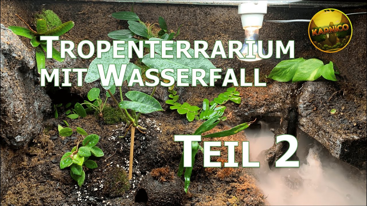 Episches Tropenterrarium mit Wasserfall Teil 2 I Bauschaum und Fliesenkleber im Regenwaldterrarium