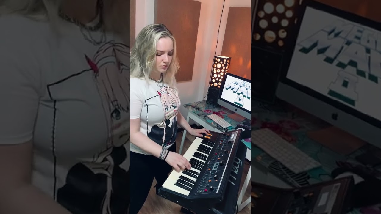 MEGAMAN 2 DR. WILY&rsquo;S CASTLE (moog cover)