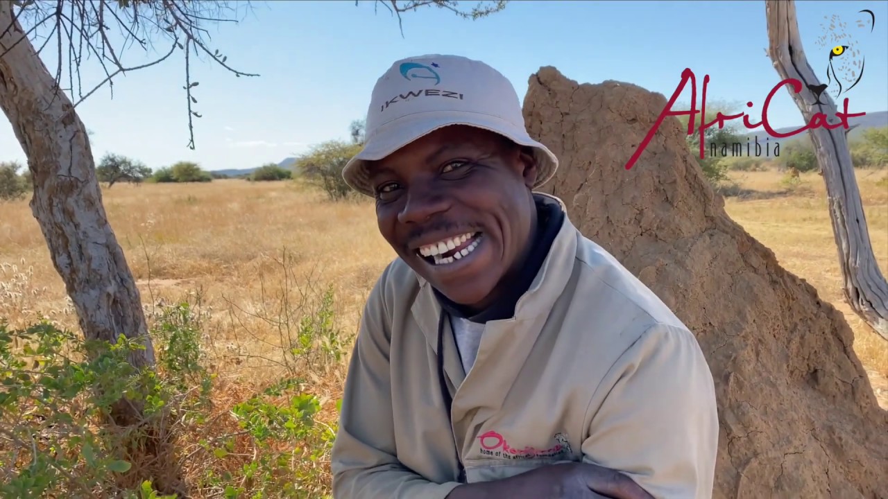 AfriCat Foundation Carnivore Care Centre Assistant - Andries Garab