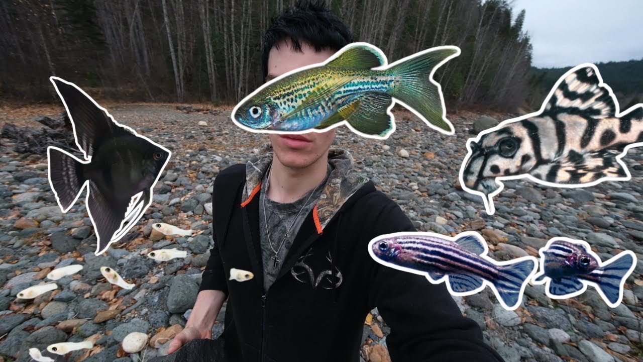 Я нашёл СОТНИ мальков в ведре! 🐟🎉 + Собираю речные камни! Удивительные природные находки!
