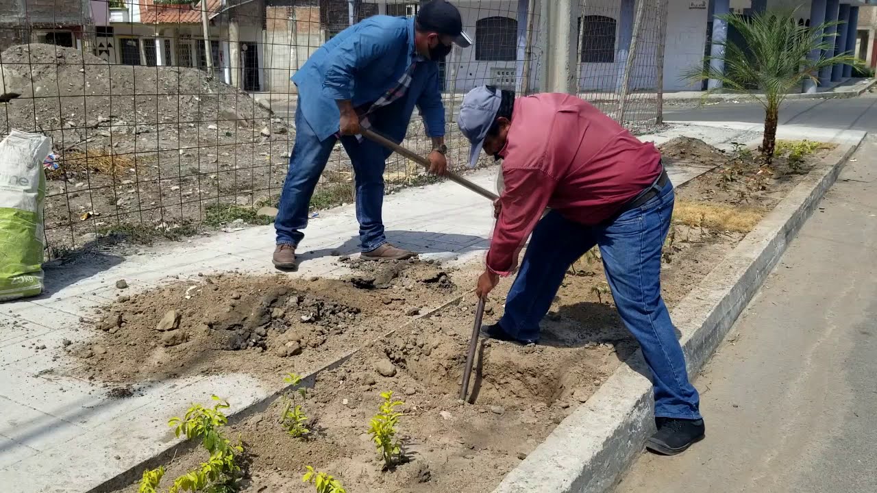 Ornamentamos las aceras en la calle Juan Montalvo