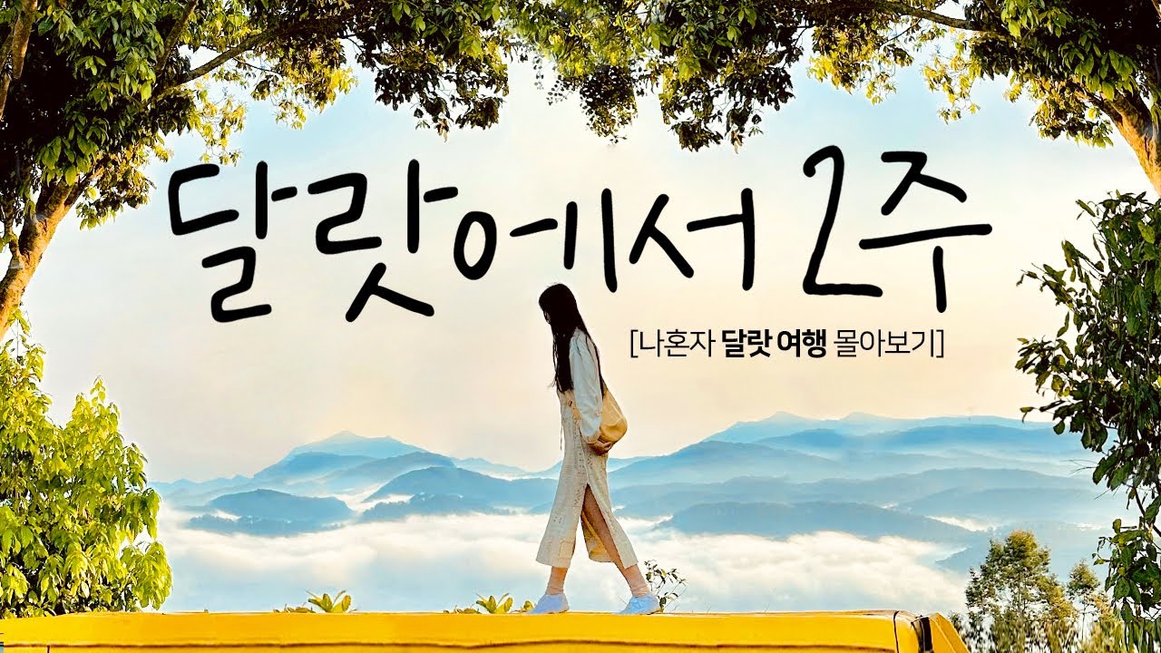 달랏 여행 어디갈지 고민이세요?✨ 나홀로 베트남 한달살기 달랏 몰아보기🇻🇳 관광 호텔 숙소 맛집 추천 여행유튜버 브이로그 Vietnam DaLat Vlog