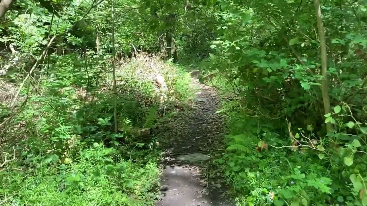 Another day in Cilgerran Wales with Randi Green part 1