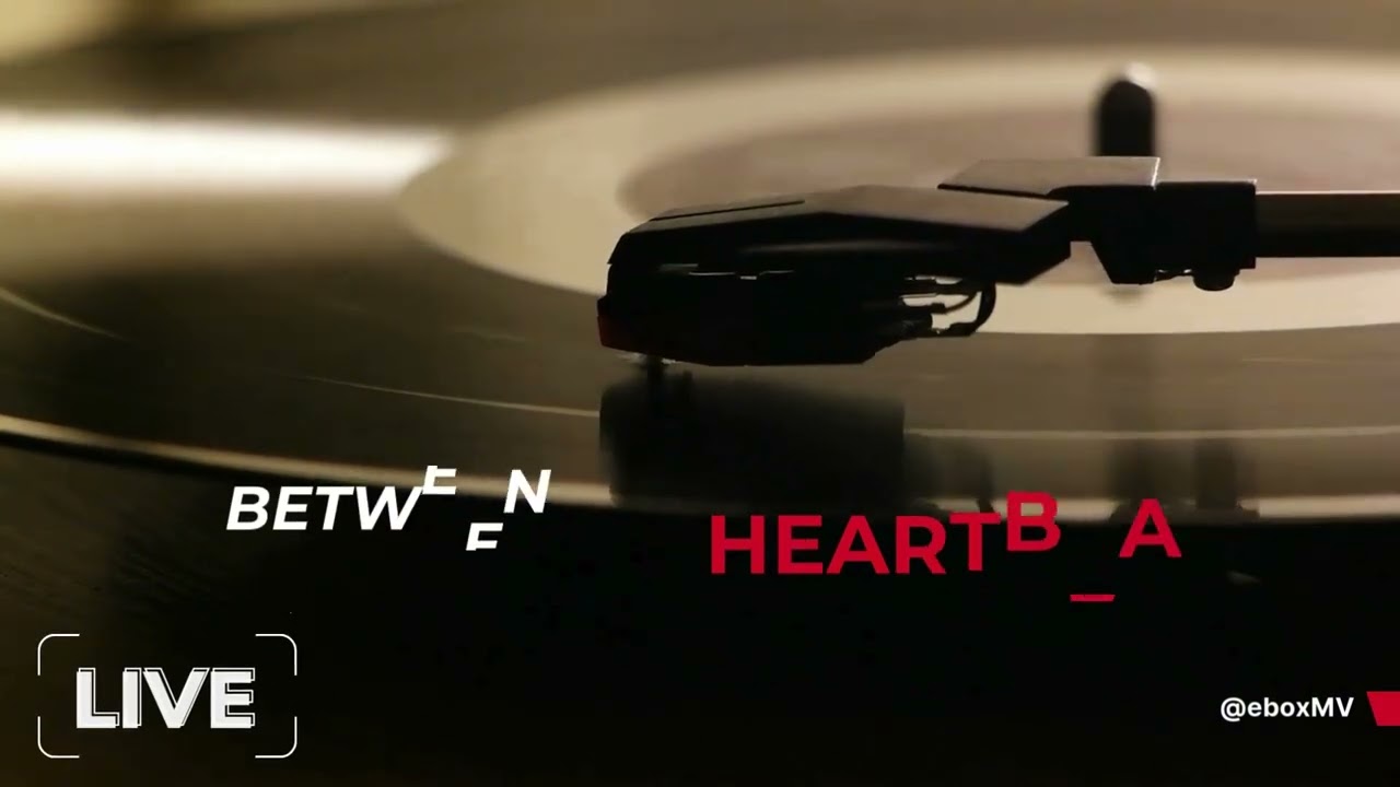 Between the Heartbeats
