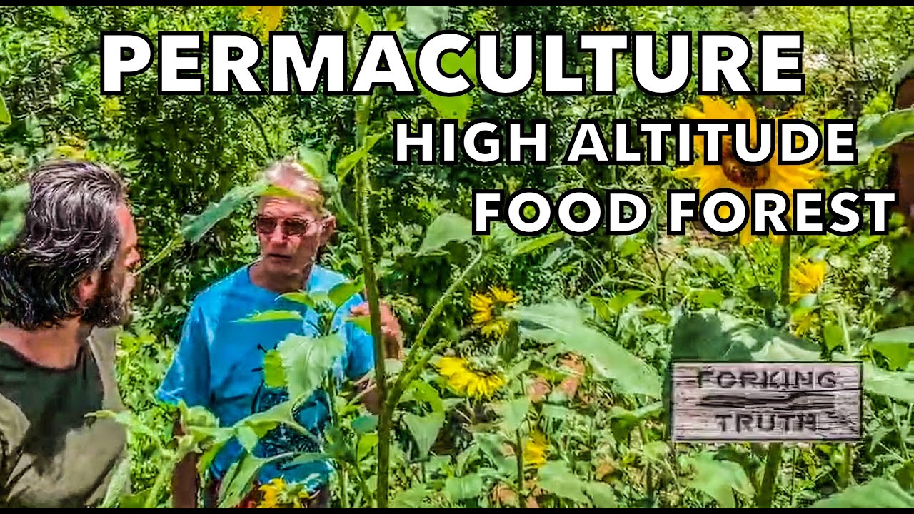 Sustainability & Farm to Table Show | #13 High Altitude Permaculture Food Forest