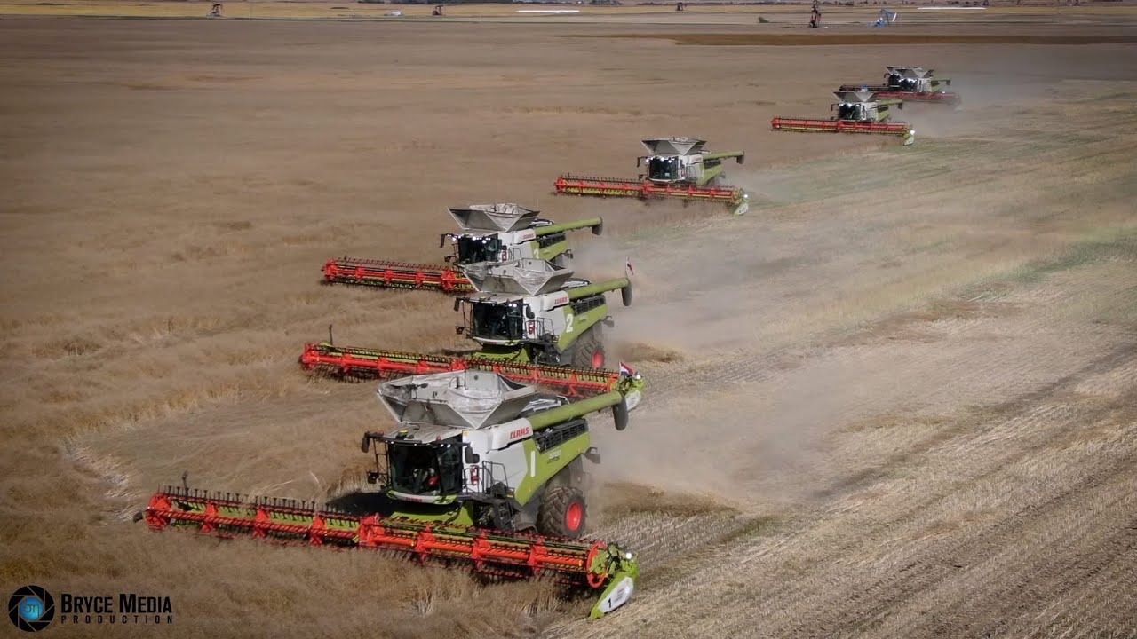 BIG Harvest 7 x Claas Lexion 8700 & 8600 und Claas Xerion 5000 / Ernte 2024 - farming harvest videos