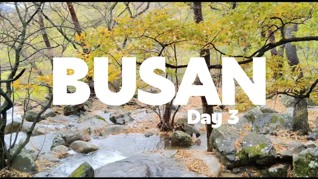 TRAVEL WITH ME IN BUSAN | CHILL TRAVEL DIARIES | REJINA