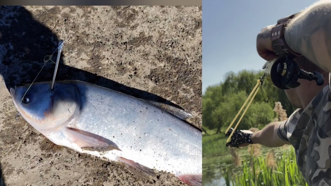 👉 “Slingshot Fishing Gone Crazy 😱