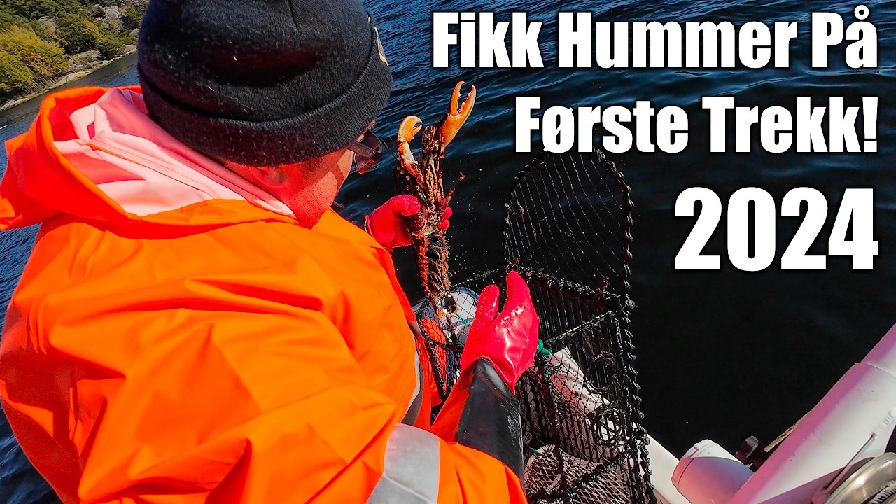Hummerfiske 2024! Fikk Hummer På Første Trekk!🦞🦞