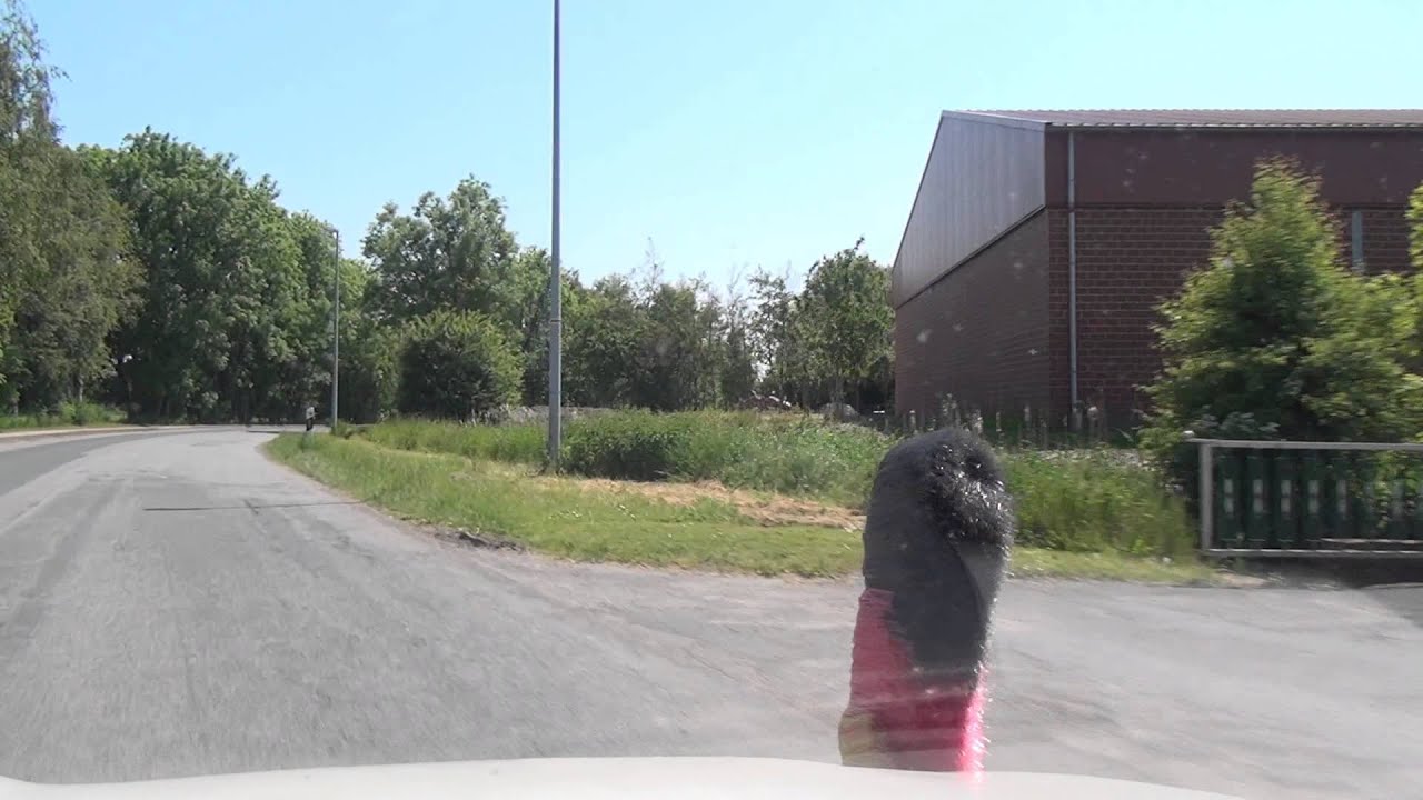 Rysum Krummh&ouml;rn Aurich 7 6 2013