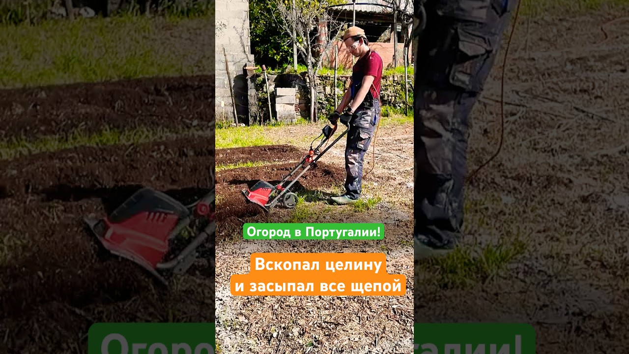 Этот культиватор просто спасение! Огород с нуля в Португалии: | Дом в Португалии #домвпортугалии