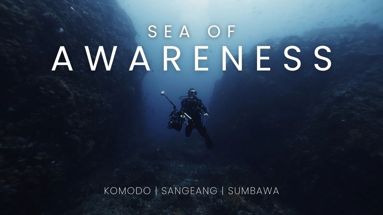Sea of Awareness | Diving Komodo - Sangeang - Sumbawa | Trip Video | Indonesia 2024 4K