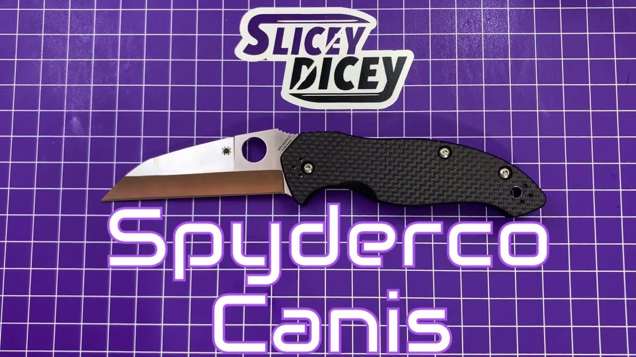 Spyderco Canis FULL Review