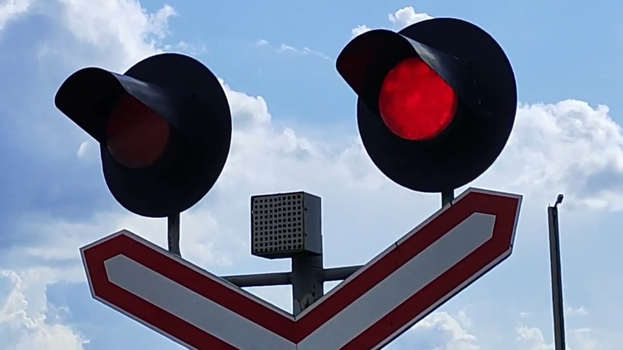 ЖД ПЕРЕЕЗД В БЕЛАРУСИ 🇧🇾 6.8.2024 (ЗА РОЖАНКОЙ) 71 ЧАСТЬ