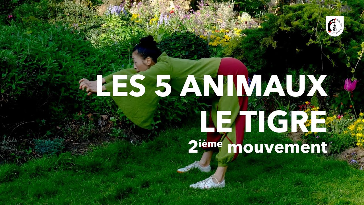 QI GONG TIME l Maître KE Wen l 5 animaux - Le Tigre (2ème mouvement)