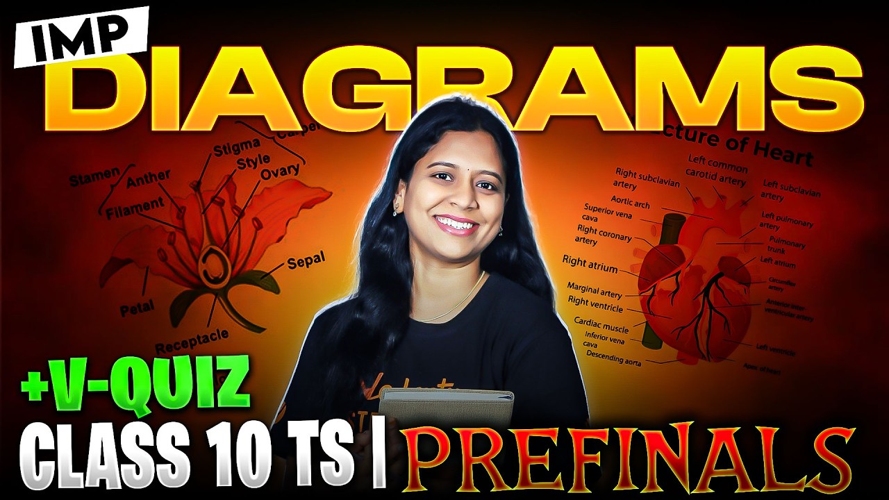 Most Repeated Biology DIAGRAMS + V-Quiz | Prefinals TS & AP | Sunaina Mam